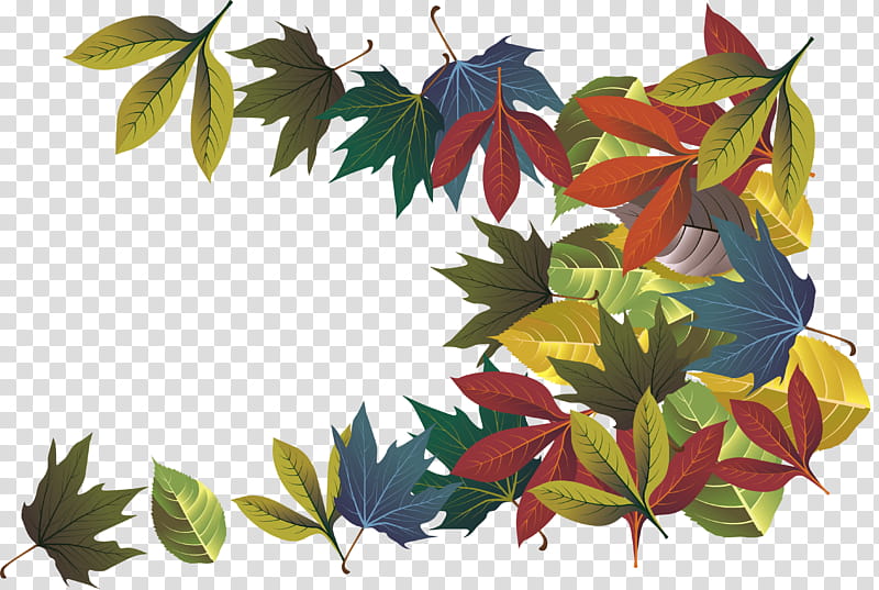 Autumn Leaves, Leaf, Deciduous, Branch, Season, Autumn Leaf Color, Tree, Plant transparent background PNG clipart