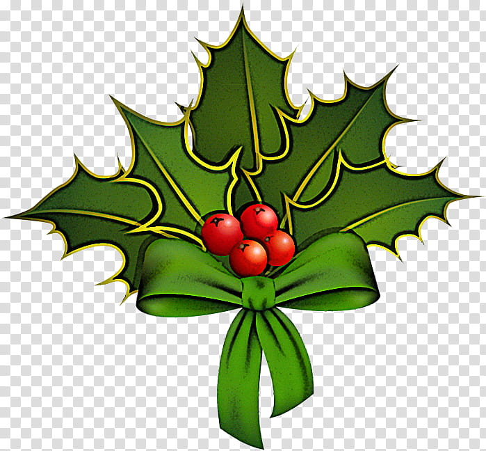 Holly, Leaf, American Holly, Plant, Tree, Flower, Woody Plant, Hollyleaf Cherry transparent background PNG clipart