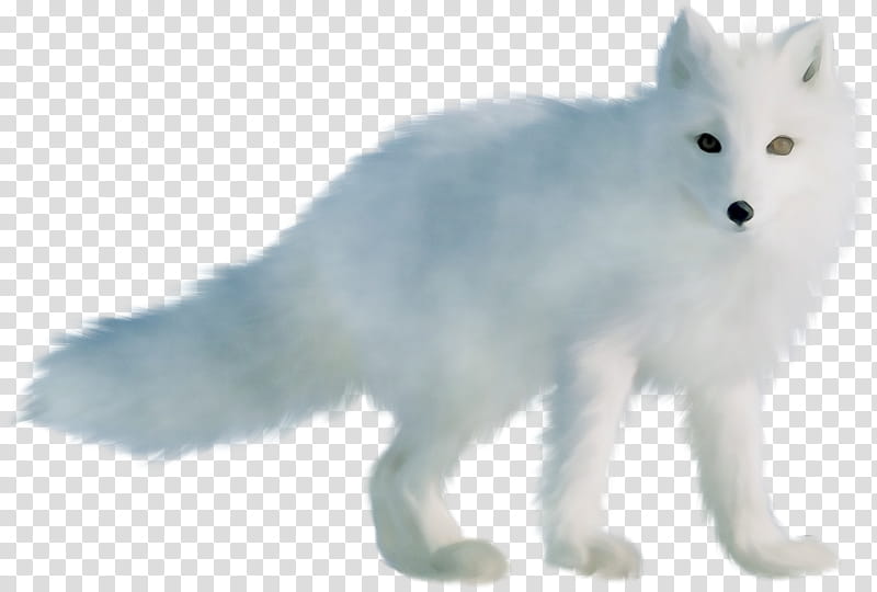 arctic fox animal figure fox snout tail, Watercolor, Paint, Wet Ink, Fur, Wildlife transparent background PNG clipart