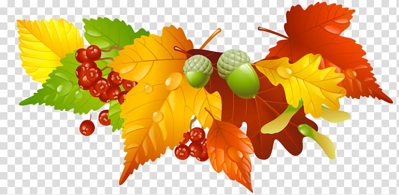 Autumn Leaves Drawing, BORDERS AND FRAMES, Chestnut, Thanksgiving, Acorn, Leaf, Plant, Yellow transparent background PNG clipart