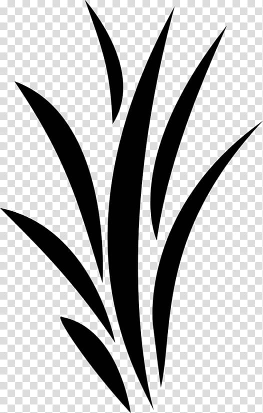 Black And White Flower, Black White M, Plant Stem, Leaf, Line, Plants ...