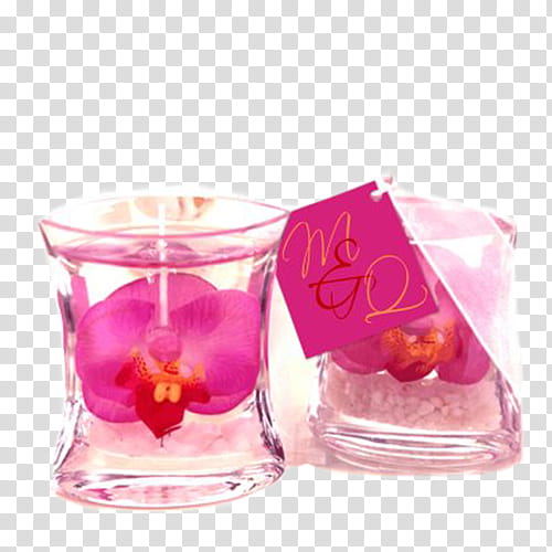 Velas Estilo Vintage, pink moth orchids in glass party favor art transparent background PNG clipart