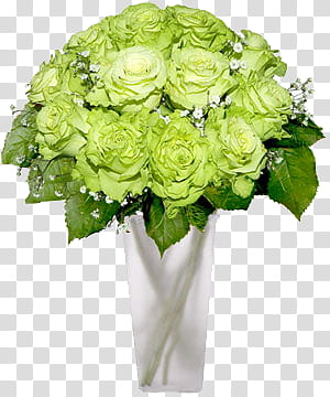 greens, green rose bouquet transparent background PNG clipart