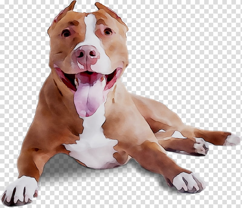 American Bulldog, American Pit Bull Terrier, American Staffordshire Terrier, Beagle, Labrador Retriever, Dog Crate, Dog Type, Breed transparent background PNG clipart