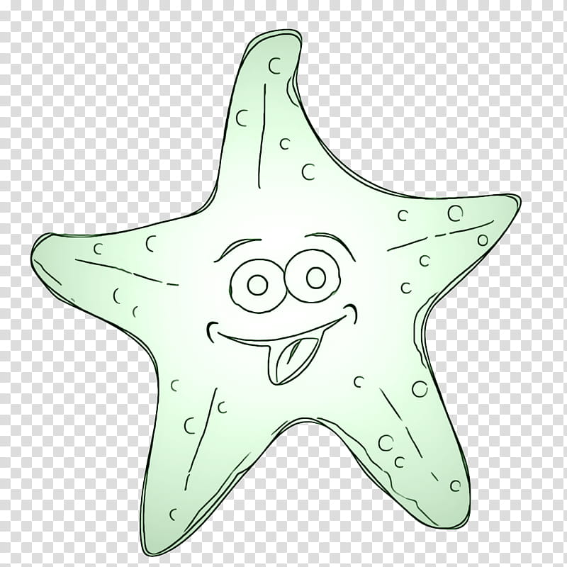 starfish star marine invertebrates transparent background PNG clipart