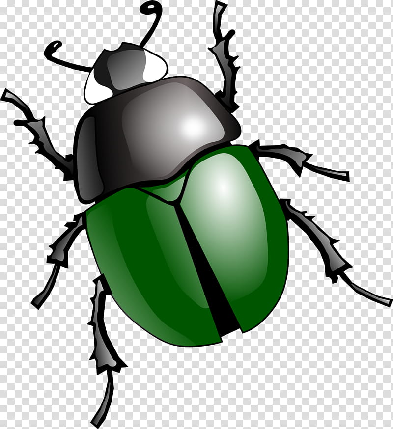Elephant, Japanese Rhinoceros Beetle, Dung Beetle, Weevil, Ladybird Beetle, Rhinoceros Beetles, Coloring Book, Entertainment transparent background PNG clipart