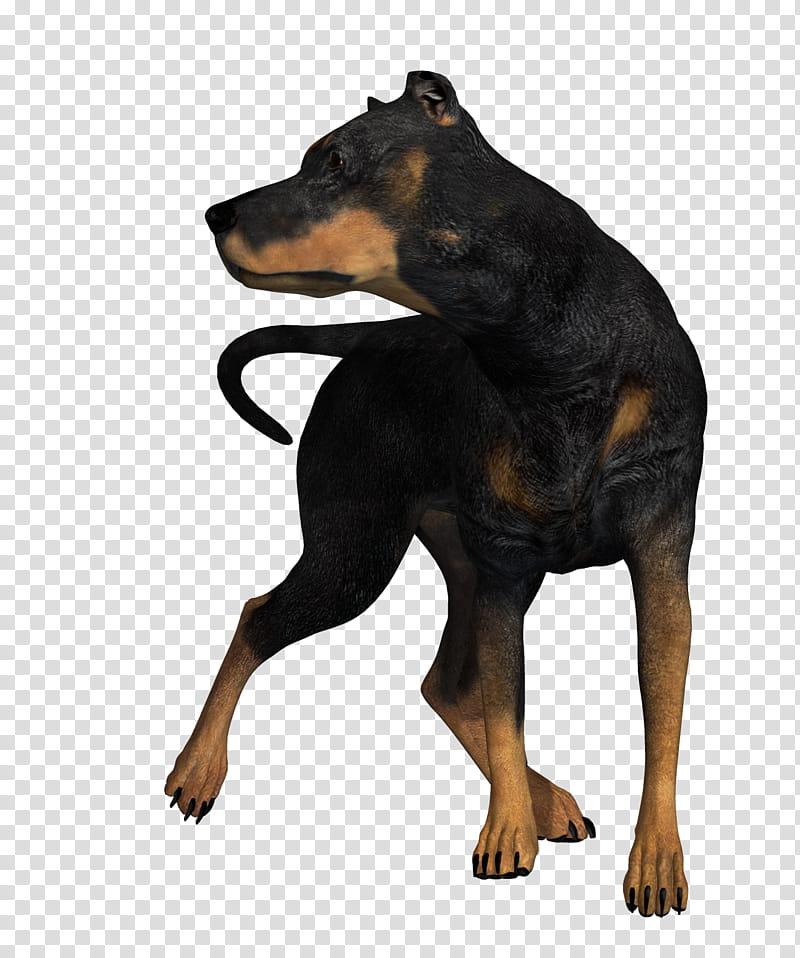 Dog And Puppy , adult black and tan dog transparent background PNG clipart