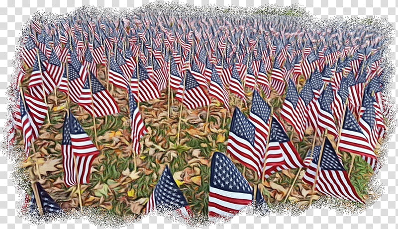 Veterans Day United States, Flag, Flag Day Usa, Memorial Day, Flag Of The United States, Plant transparent background PNG clipart