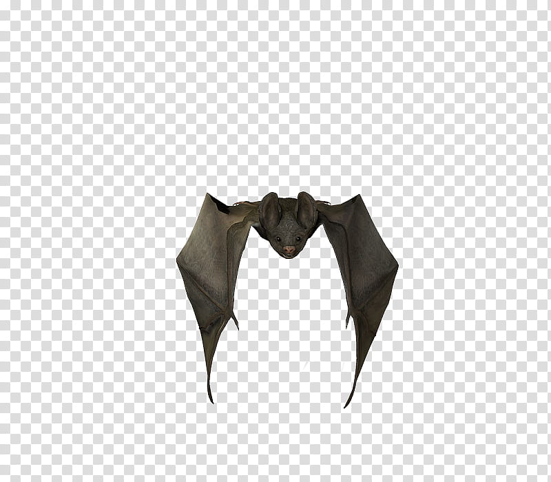 E S Bats , black bat transparent background PNG clipart