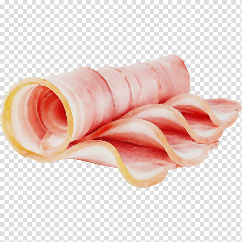 food jamón serrano animal fat back bacon dish, Watercolor, Paint, Wet Ink, Ham, Turkey Ham, Ingredient, Pancetta transparent background PNG clipart