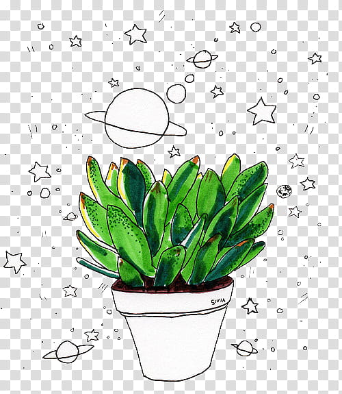 Pretty s, green potted plants and stars transparent background PNG clipart