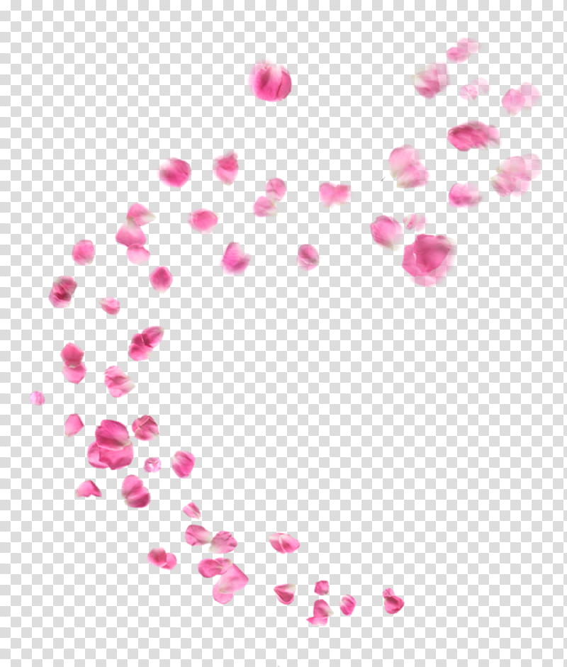 Ptalas rosas made in PicsArt transparent background PNG clipart