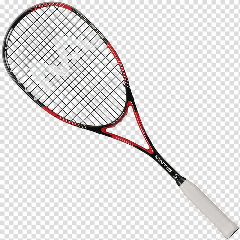 Badminton, Squash, Racket, Sports, Squash Tennis, Tennis Racket, Strings, Tennis Racket Accessory transparent background PNG clipart