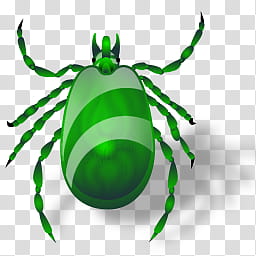 Insects, tick  icon transparent background PNG clipart