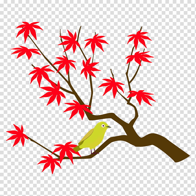 maple branch maple leaves autumn tree, Fall, Leaf, Plant, Black Maple, Plant Stem, Flower transparent background PNG clipart