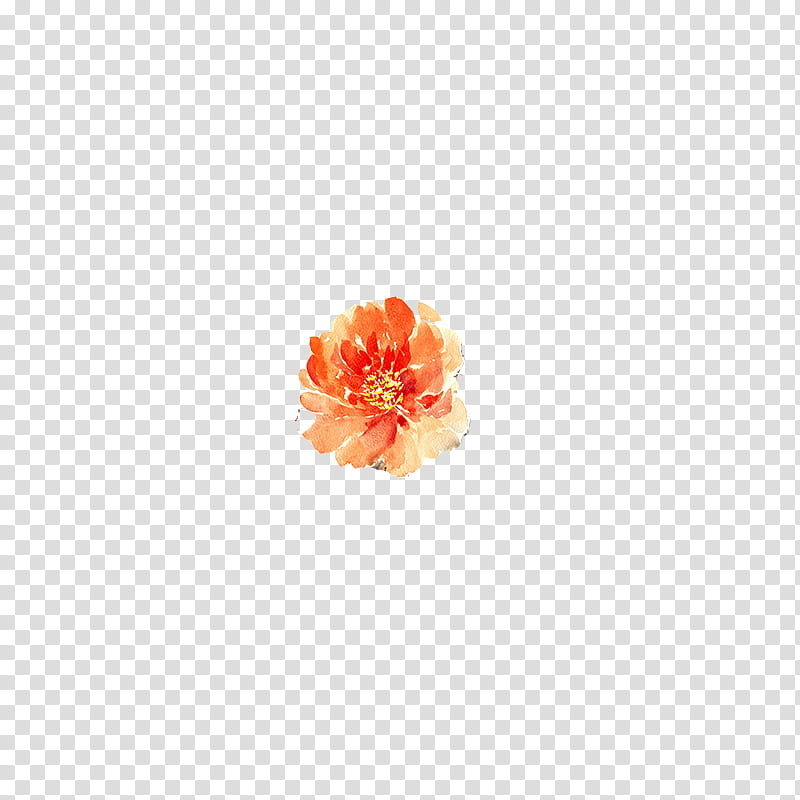 , orange flower illustration transparent background PNG clipart