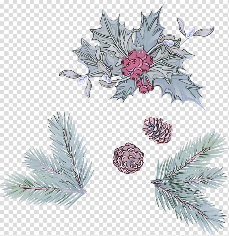 colorado spruce white pine columbian spruce oregon pine shortleaf black spruce, Tree, Jack Pine, Red Pine, Lodgepole Pine transparent background PNG clipart