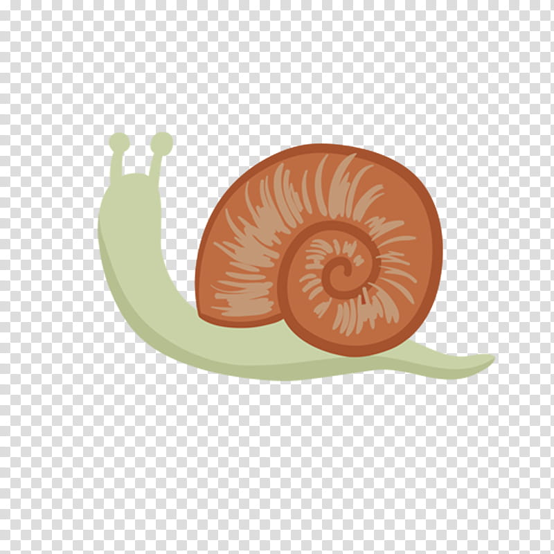 Snail, Drawing, Animation, Stick Figure, Snail Racing, Snails And Slugs, Orange, Nautilida transparent background PNG clipart