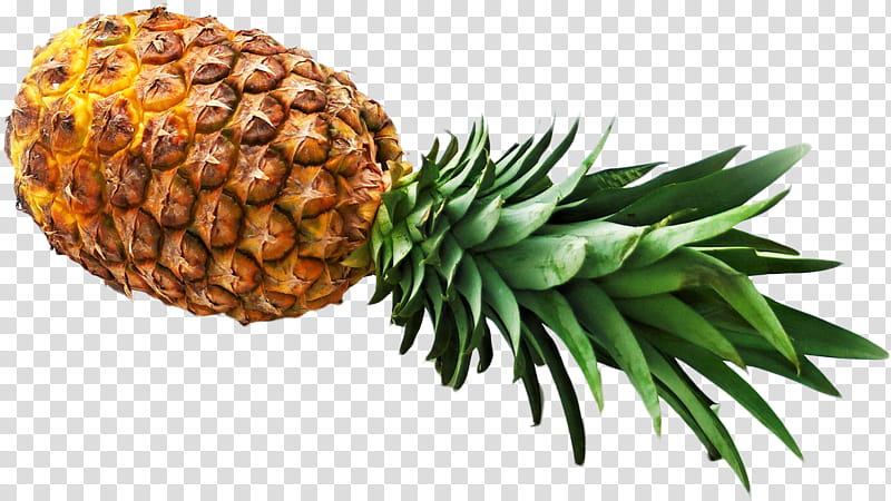 Family Tree, Pineapple, Juice, Pineapple Juice, Food, Fruit, Colada, Upsidedown Cake transparent background PNG clipart