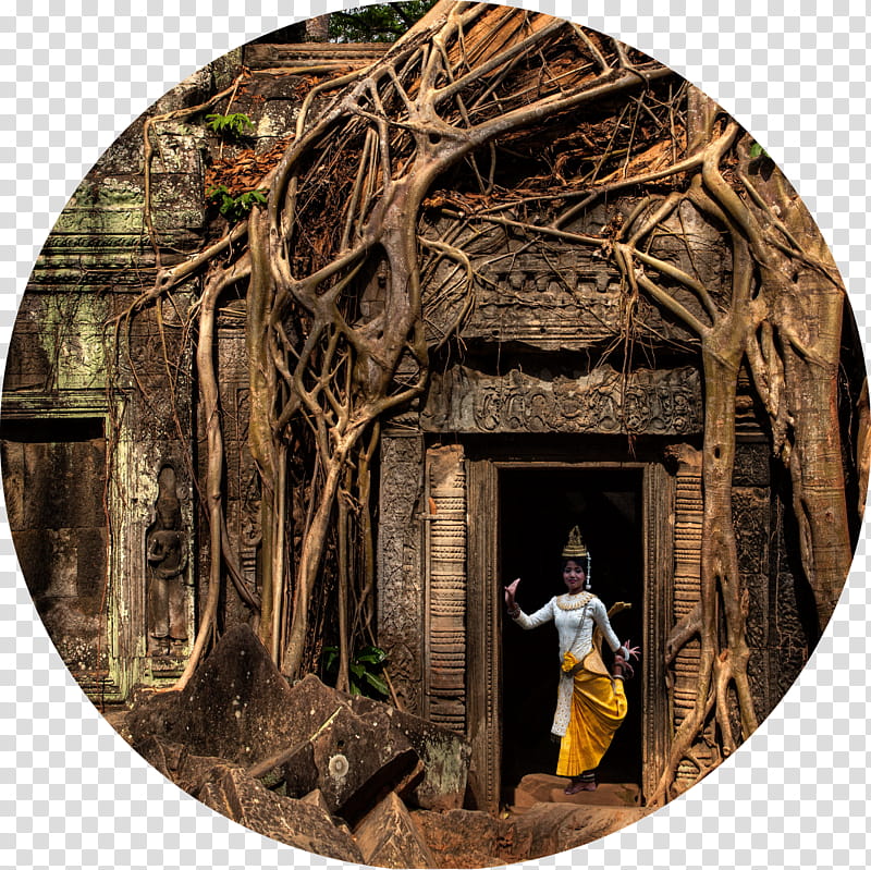 Travel Tree, Angkor Wat, Ta Prohm, Banteay Srei, Bayon, Temple, Beng Mealea, Hotel transparent background PNG clipart