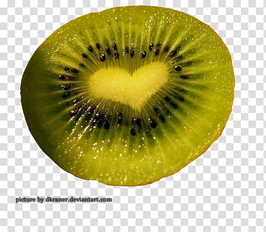 Various no , green kiwi fruit illustration transparent background PNG clipart