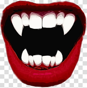 Lip Tongue Mouth Woman, tongue transparent background PNG clipart ...