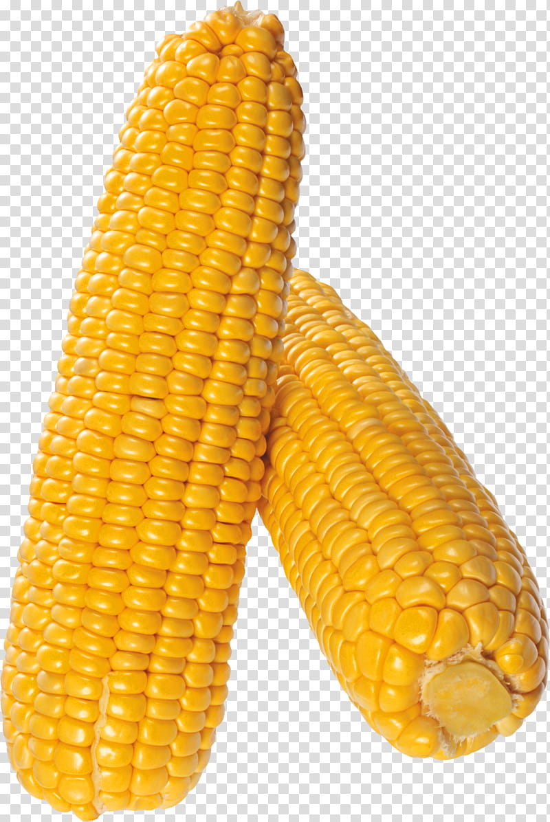 Popcorn, Corn On The Cob, Sweet Corn, Corn Kernel, Field Corn, Corncob, Waxy Corn, Dent Corn transparent background PNG clipart