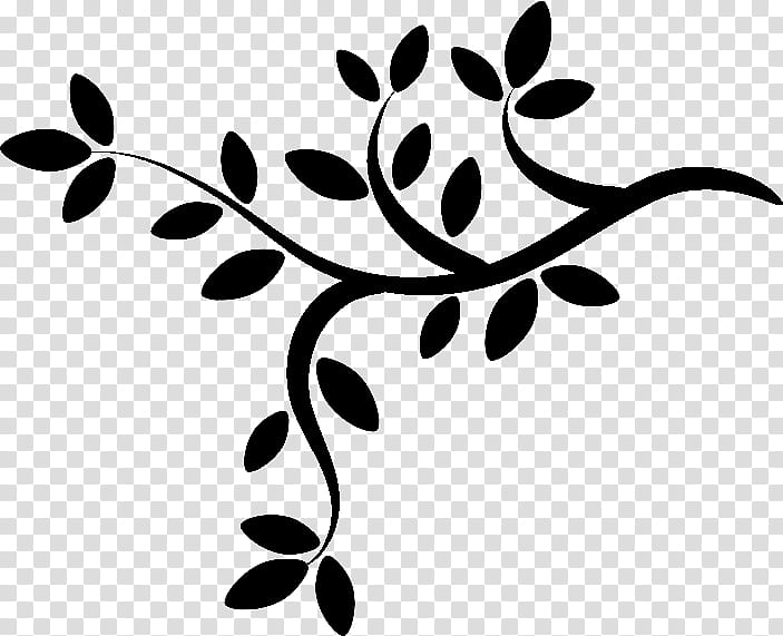 Black And White Flower, Black White M, Plant Stem, Leaf, Fruit, Plants, Black M, Branch transparent background PNG clipart