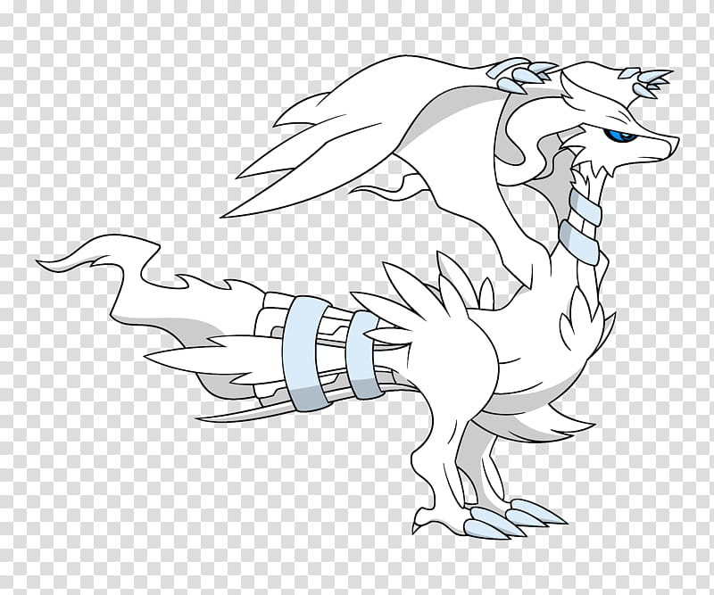 Dragon Drawing, Reshiram, Line Art, Zekrom, Kyurem, Unova, Black And White
, Beak transparent background PNG clipart