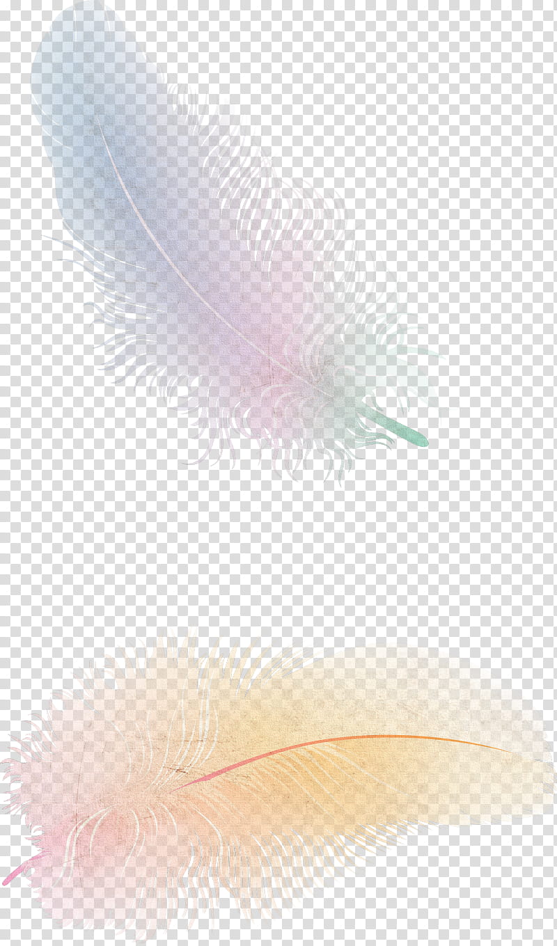 Writing, Feather, Drawing, White Feather, Quill, Pink, Eyelash, Pen transparent background PNG clipart