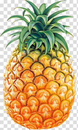 Fruit P, orange and yellow pineapple transparent background PNG clipart