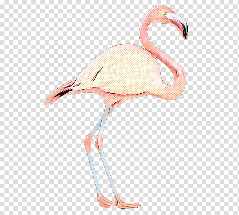 Pink Flamingo, Neck, Beak, Bird, Greater Flamingo, Water Bird, Wildlife transparent background PNG clipart