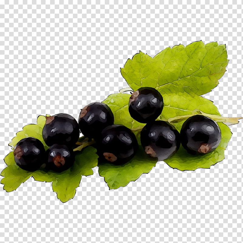 Leaf, Gooseberry, Zante Currant, Blueberry, Bilberry, Huckleberry, Cranberry, Chokeberry transparent background PNG clipart