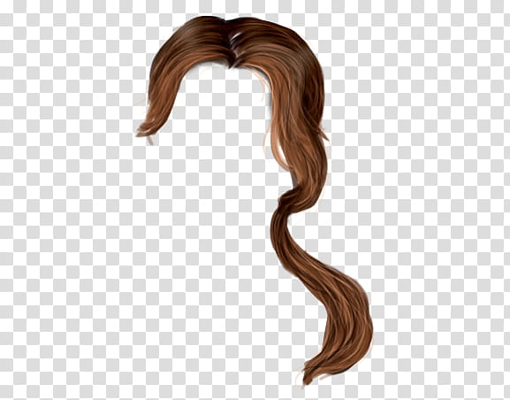 Painted Hair , brown hair illustration transparent background PNG clipart