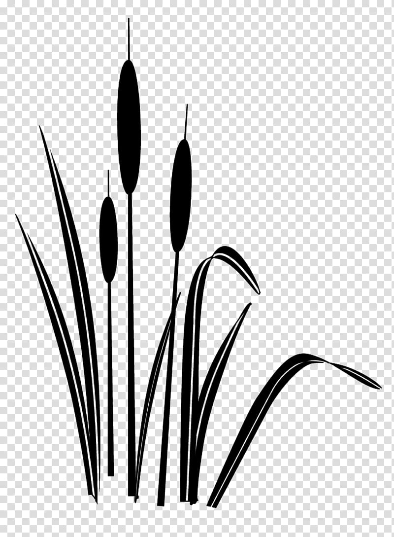 Grasses Brushes, three grass illustration transparent background PNG clipart