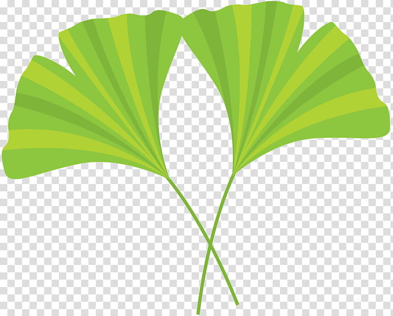 Green Grass, Tree, Plant Stem, Line, Leaf, Plants, Maidenhair Tree, Flower transparent background PNG clipart