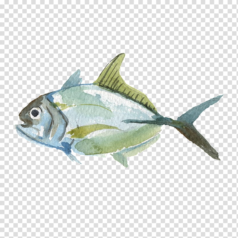 Watercolor Drawing, Watercolor Painting, Sardine, Fish, Monotyping, Yandex, Portrait, Poster transparent background PNG clipart