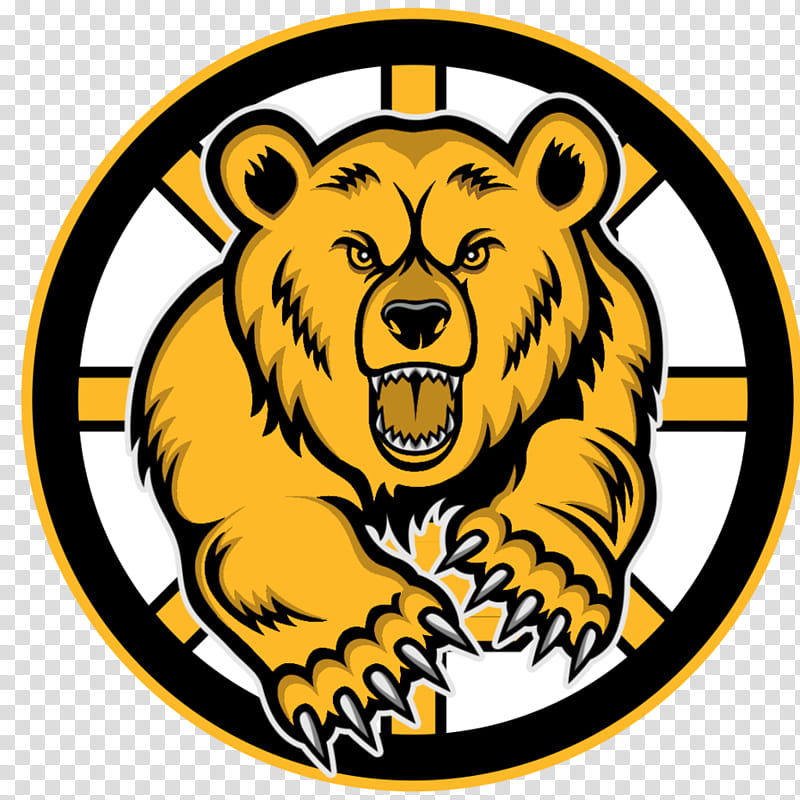 Ice Bear, Boston Bruins, Logo, Telangana, Ice Hockey, Facebook, Wildlife, Snout transparent background PNG clipart