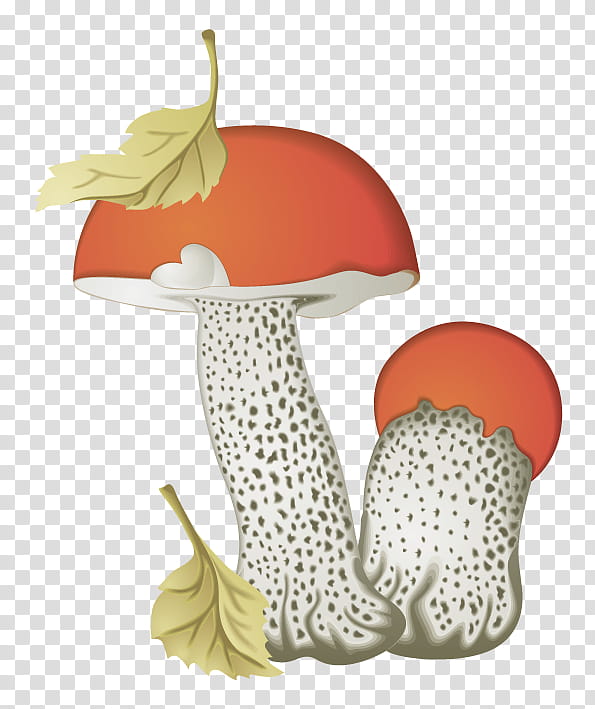 Mushroom, Penny Bun, Brown Cap Boletus, Aspen Mushroom, Edible Mushroom, Fungus, Death Cap, Pileus transparent background PNG clipart