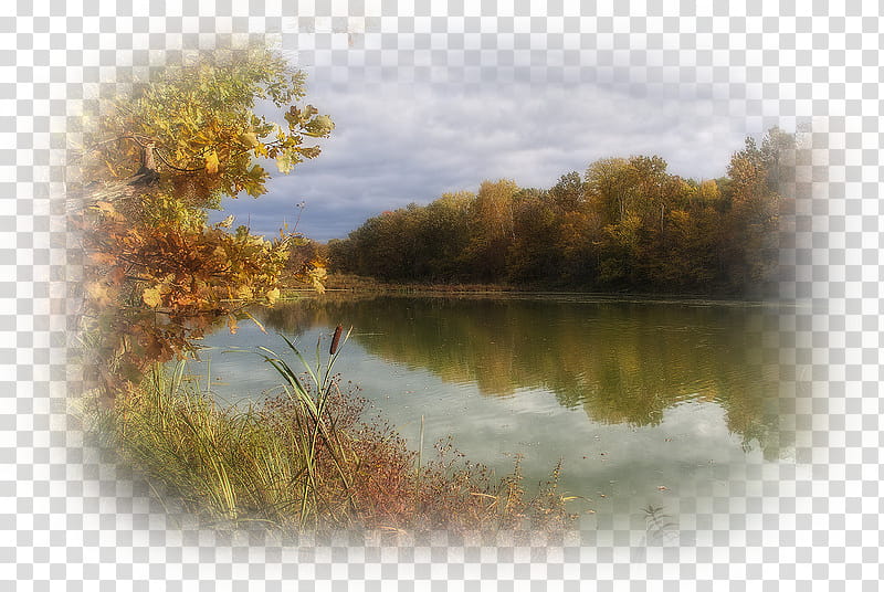 Cartoon Nature, Murom, Landscape Painting, Oka River, Yandex, Diary, Vladimir Oblast, Natural Landscape transparent background PNG clipart