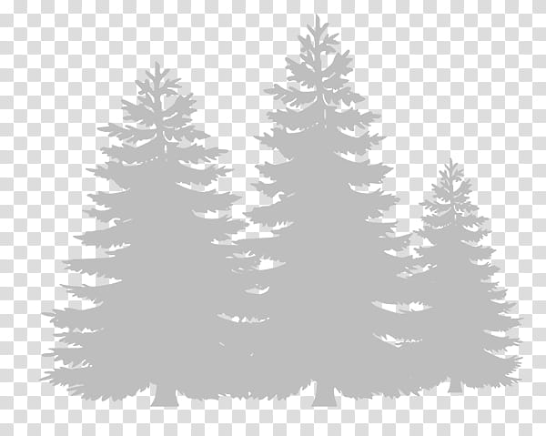 Christmas Black And White, Camping, Campsite, Blind River, Accommodation, Hotel, Recreation, Summer Camp transparent background PNG clipart