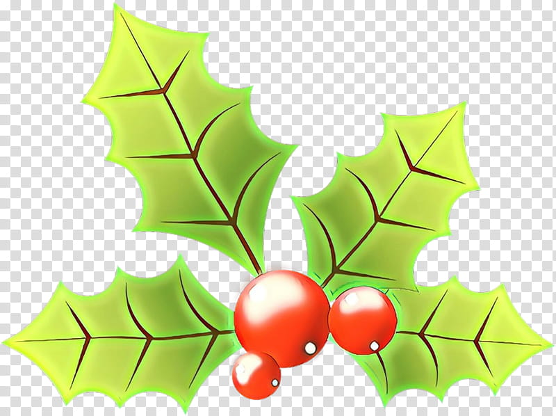 Holly, Cartoon, Leaf, Green, Tree, Plant, American Holly, Woody Plant transparent background PNG clipart