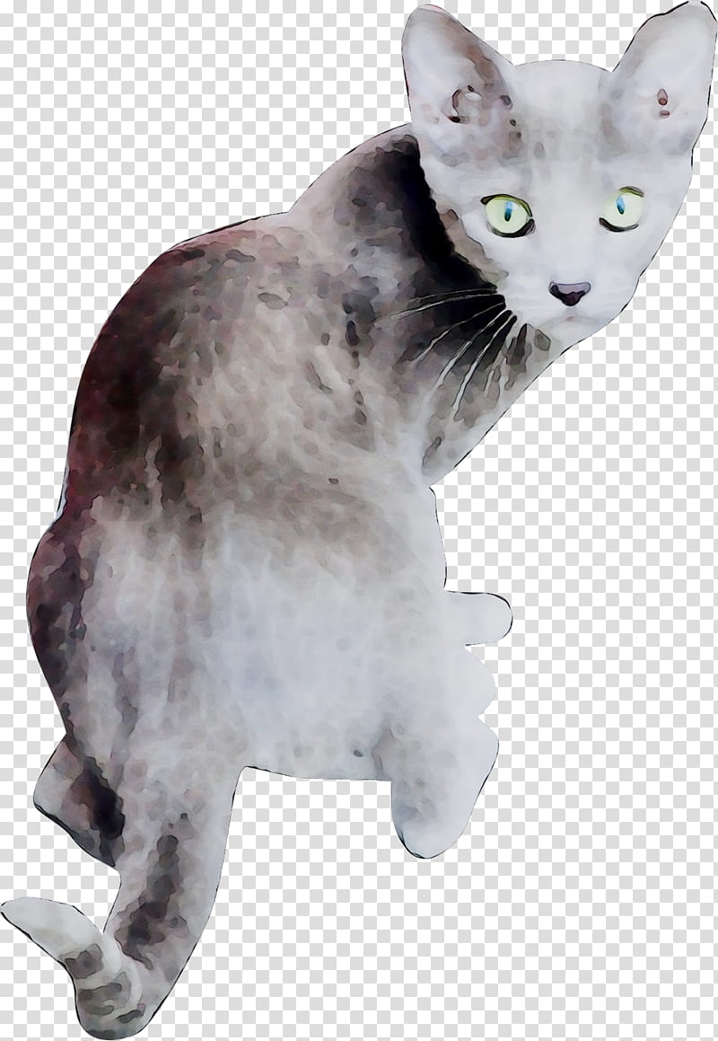 Cartoon Cat, Devon Rex, American Wirehair, Whiskers, Tail, Small To Mediumsized Cats, Oriental Longhair, Animal Figure transparent background PNG clipart