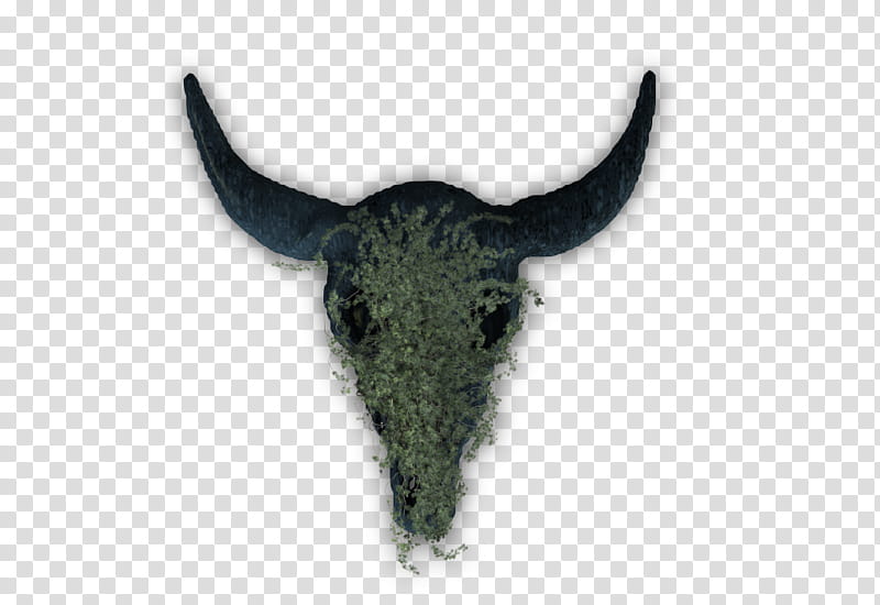 RPG Map Elements , green plant growing on grey bull horn skull transparent background PNG clipart