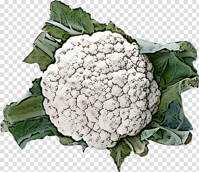 Cauliflower, Leaf Vegetable, Food, Broccoli, Plant, Wild Cabbage transparent background PNG clipart