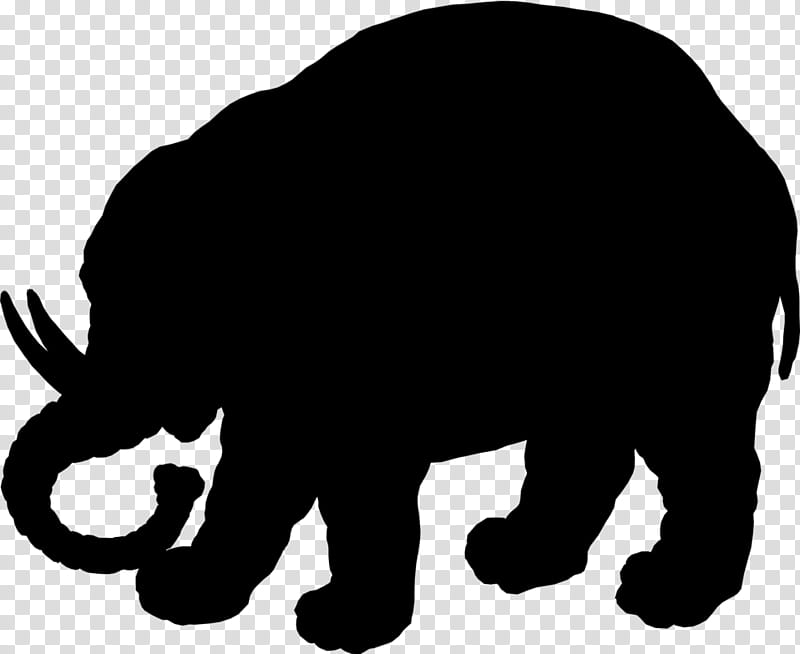 Indian Elephant, African Elephant, Bear, Dog, Cattle, Mammoth Mountain Ski Area, Animal, Wildlife transparent background PNG clipart
