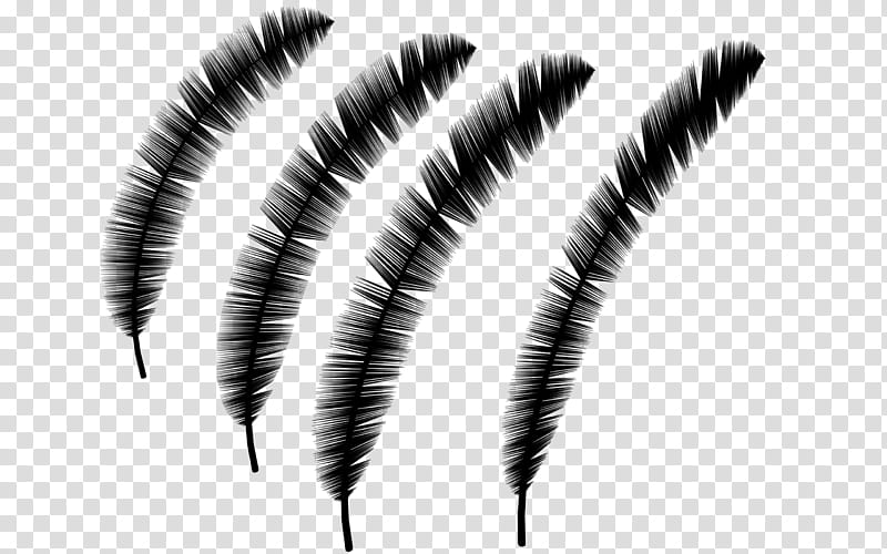 Eye, Black White M, Eyebrow, Feather, Eyelash, Pen, Quill, Writing Implement transparent background PNG clipart