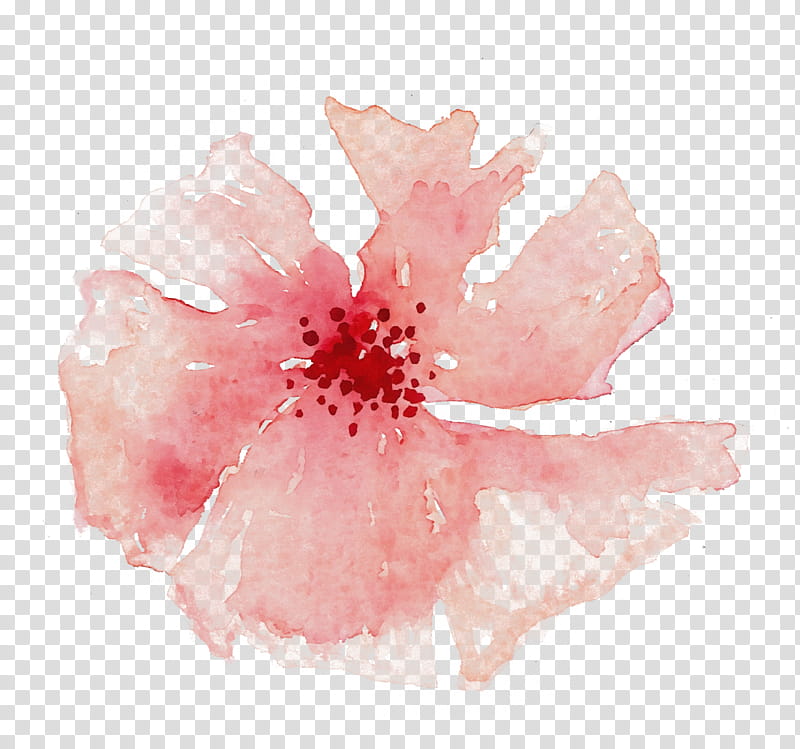 pink hawaiian hibiscus hibiscus flower petal, Watercolor, Paint, Wet Ink, Plant, Watercolor Paint, Mallow Family transparent background PNG clipart