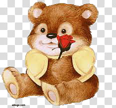 sitting baby brown bear holding red rose illustration transparent background PNG clipart