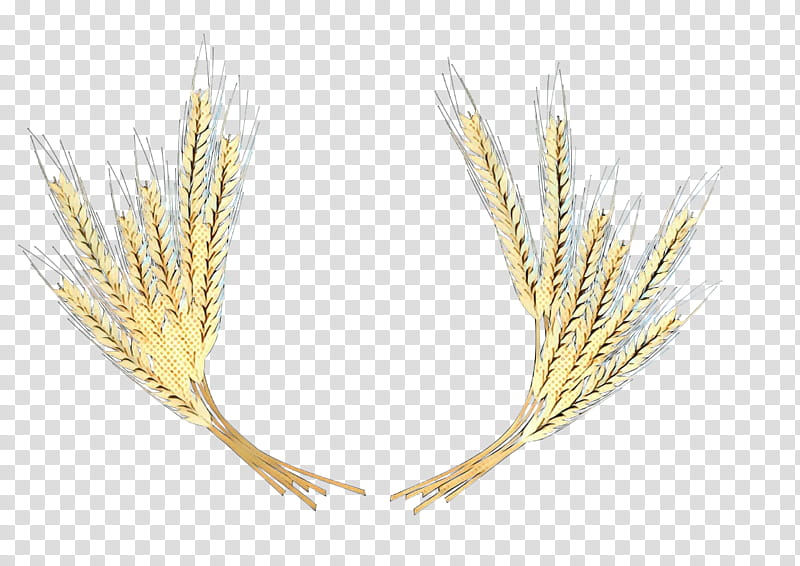 Wheat, Emmer, Cereal Germ, Yellow, Grass Family, Plant, Elymus Repens, Triticale transparent background PNG clipart